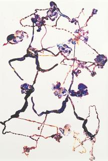 Adam Fuss - \'Details Of Love\'