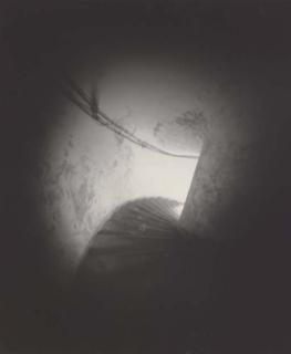 Adam Fuss - Untitled, 1986