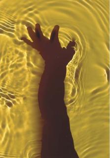 Adam Fuss - Untitled, 1997