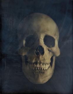 Adam Fuss - Untitled, 2002