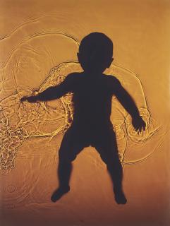 Adam Fuss - Untitled, 2006