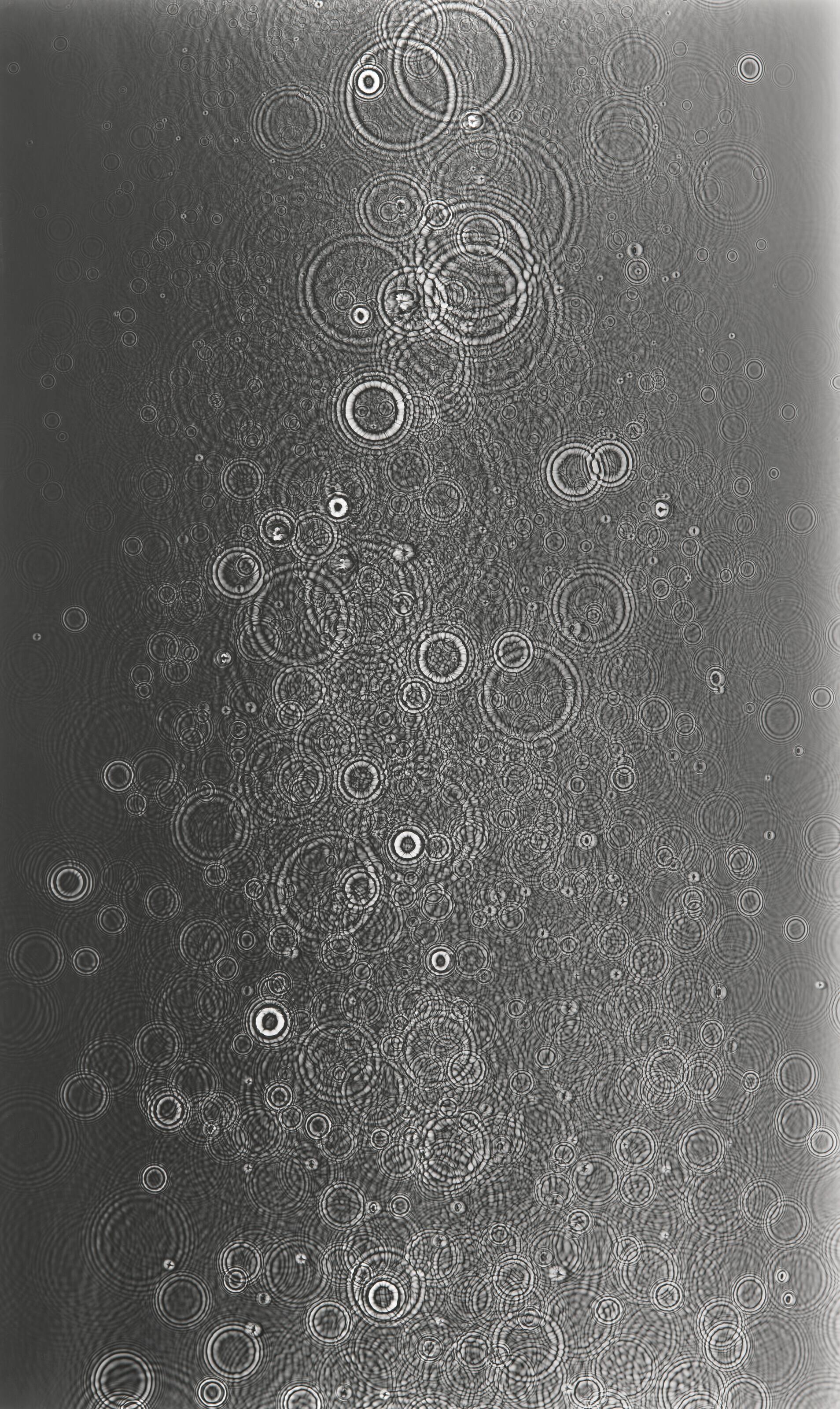 Adam Fuss - Untitled, 2007