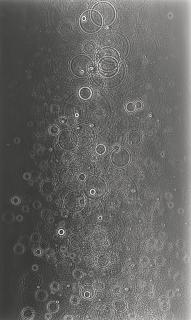 Adam Fuss - Untitled, 2007