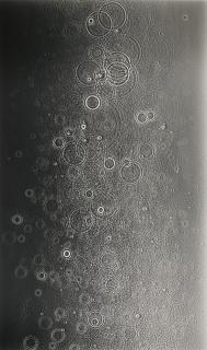 Adam Fuss - Untitled, 2007 