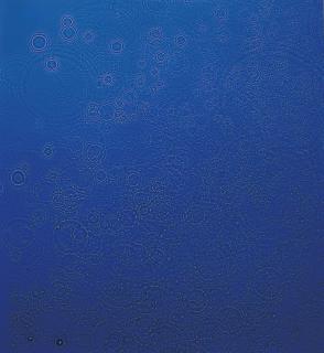 Adam Fuss - Untitled #883, 1998