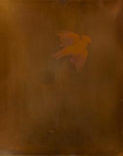 Adam Fuss - Untitled (Bronze Bird)