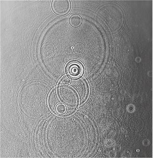 Adam Fuss - Untitled (Droplets)