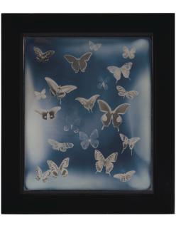 Adam Fuss - Untitled, from My Ghost, 2000