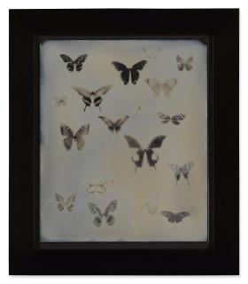 Adam Fuss - Untitled (from My Ghost)