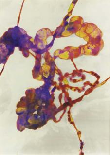 Adam Fuss - Untitled, From The Series Details of Love, 1992