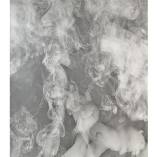 Adam Fuss - Untitled (My Ghost Series)