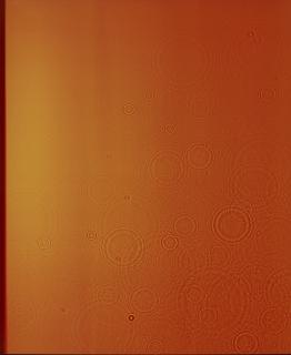 Adam Fuss - Untitled (Orange droplets photogram), 1989