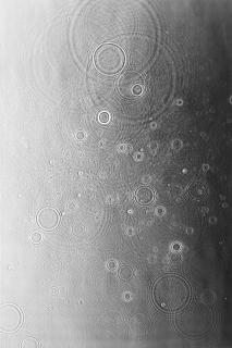Adam Fuss - Untitled (Photogram)