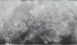 Adam Fuss - Untitled (Snake Powder), 2005