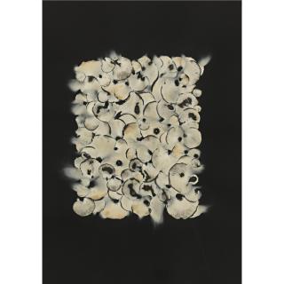 Adam Fuss - Untitled (Spore)