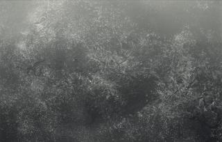 Adam Fuss - Untitled