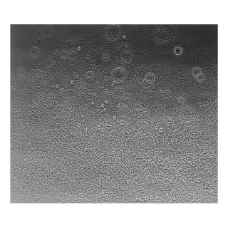 Adam Fuss - Untitled