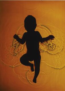 Adam Fuss - Untitled