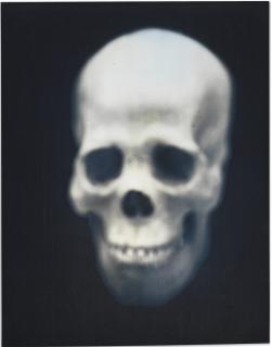 Adam Fuss - Untitled 