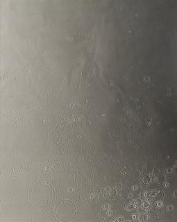 Adam Fuss - Untitled\'