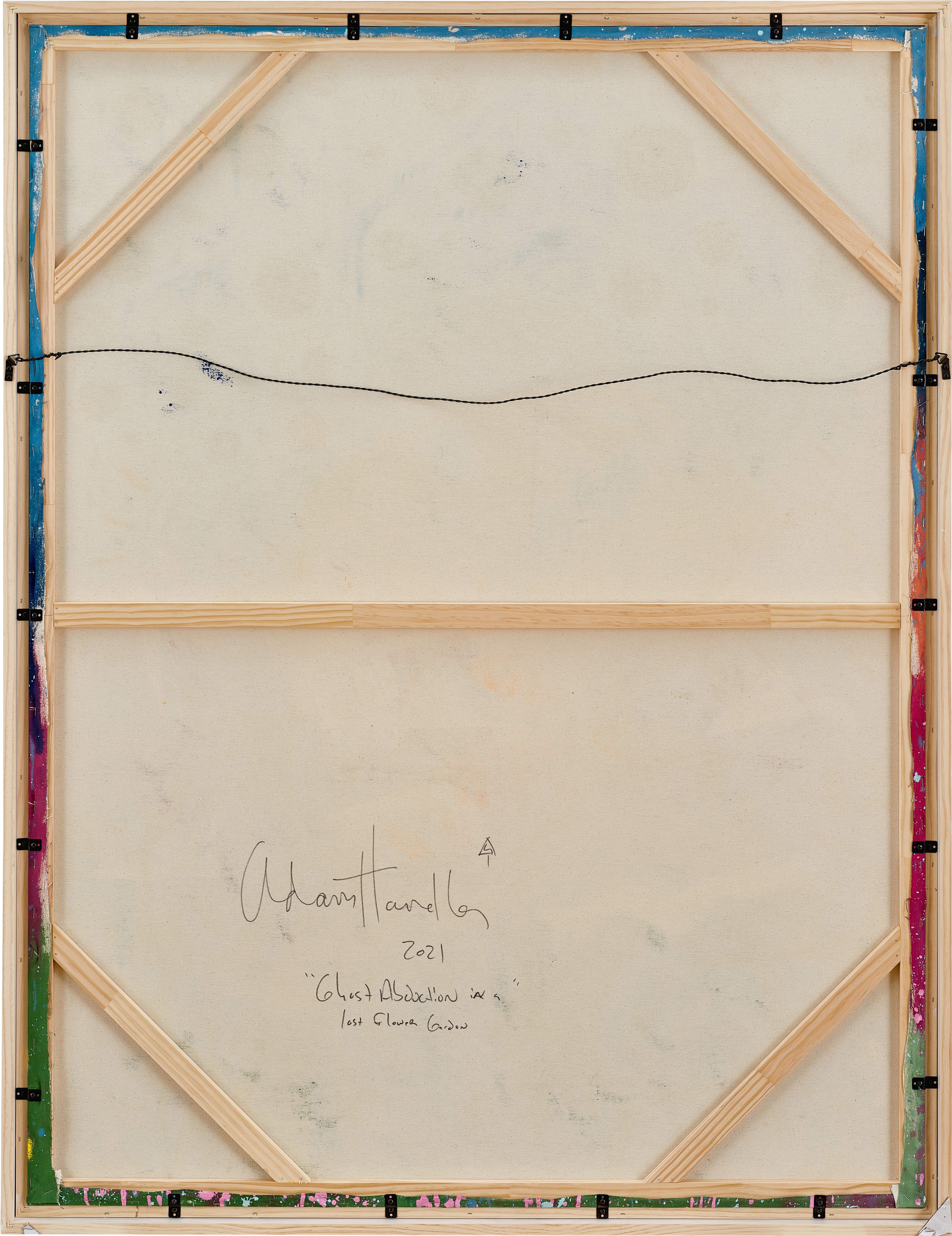 Adam Handler - Ghost Abduction in a Lost Flower Garden