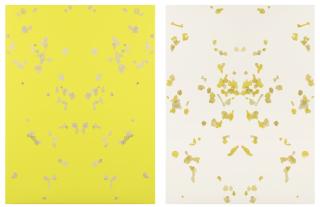 Adam Mcewen - Baden Baden (Yellow), Baden Baden (White)