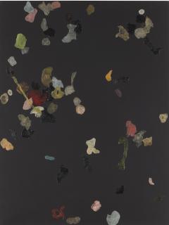 Adam Mcewen - Bomber Harris