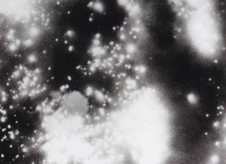 Adam Mcewen - Untitled (Dresden)