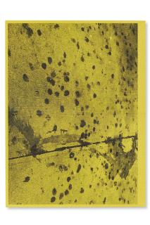 Adam Mcewen - Untitled