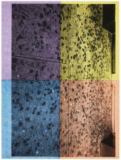 Adam Mcewen - Untitled