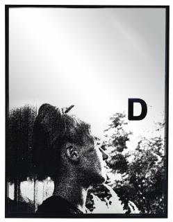 Adam Pendleton - System Of Display, D (Divided/ Jean-Marie Straub, The Bridegroom, The Comedienne & The Pimp, 1968)