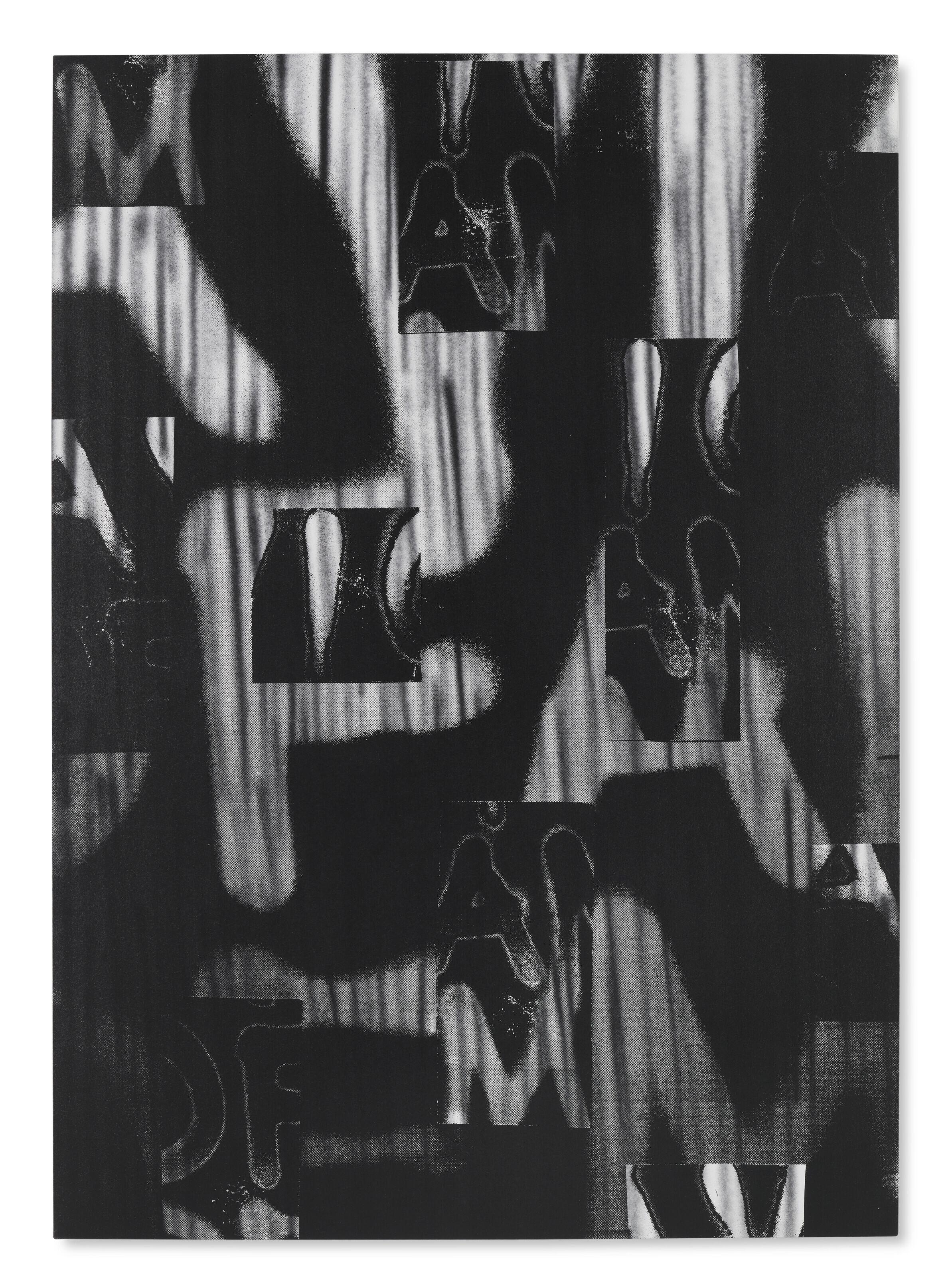 Adam Pendleton - Untitled (A Victim of American Democracy)