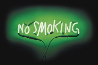 Adel Abdessemed - No Smoking