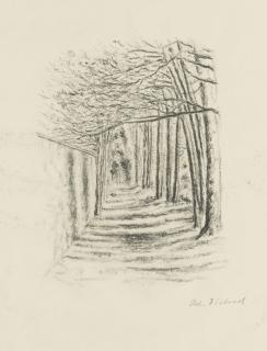 Adolf Dietrich - Baumallee