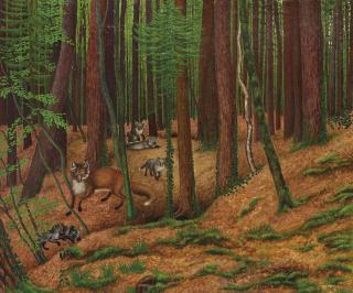 Adolf Dietrich - Fuchsfamilie im Wald, 1923