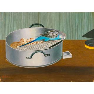 Adolf Dietrich - Wellensittich Auf Aluminiumschüssel, 1949 Budgie On Aluminium Bowl,1949