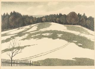 Adolf Erbslöh - Blick über den Zaun in Irschenhausen.