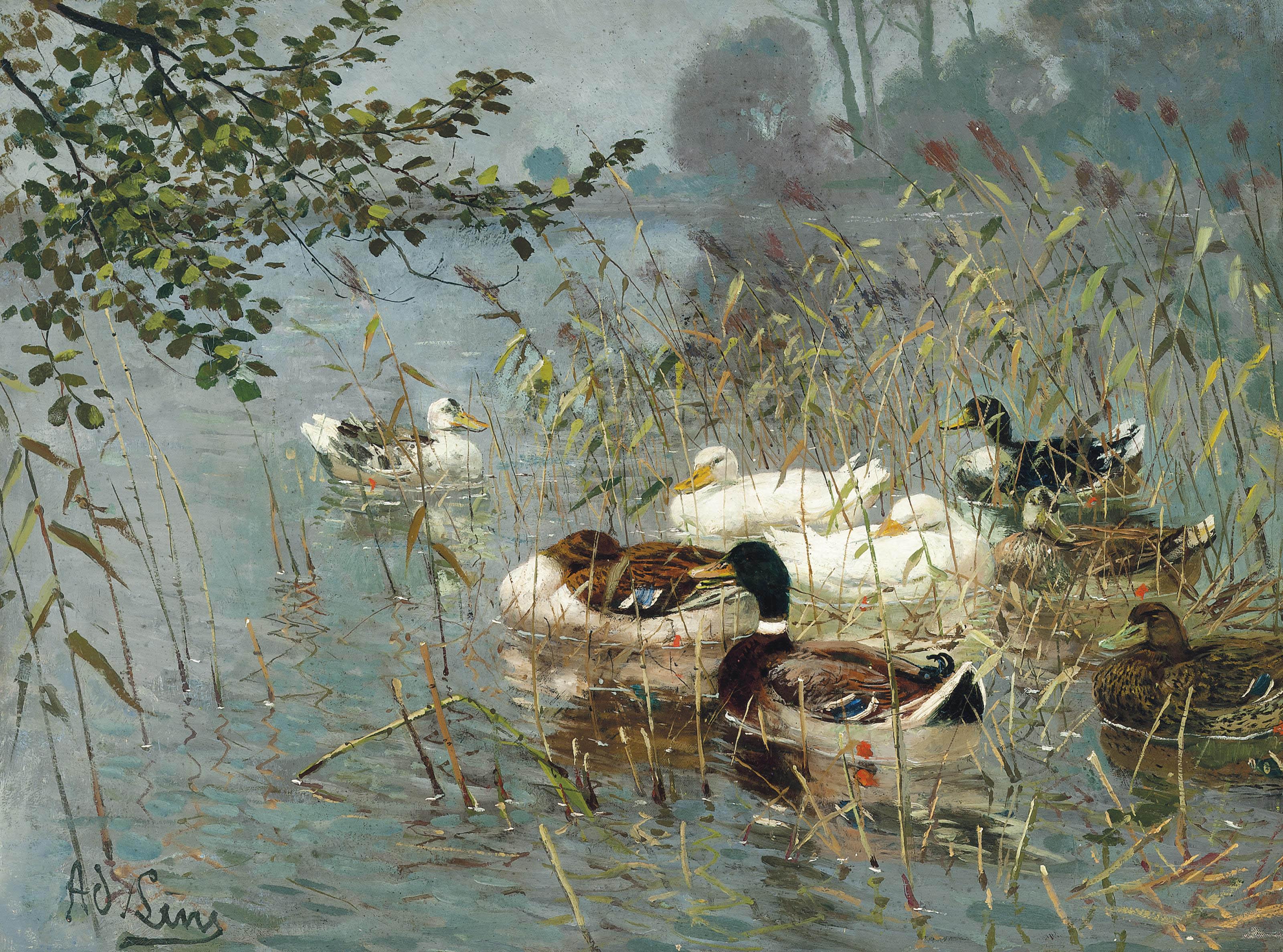 Adolf Lins - Ducks In The Reeds