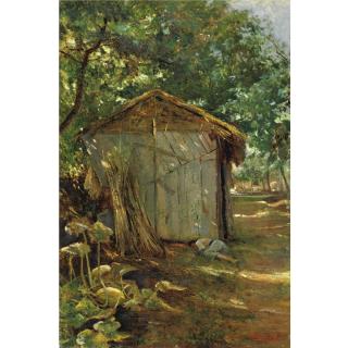 Adolfo Tommasi - Le Zucche