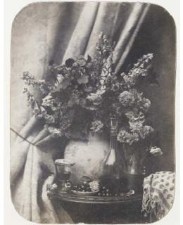 Adolphe Bilordeaux - Nature Morte