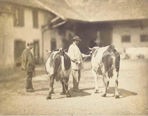 Adolphe Braun - Boeufs et vachers