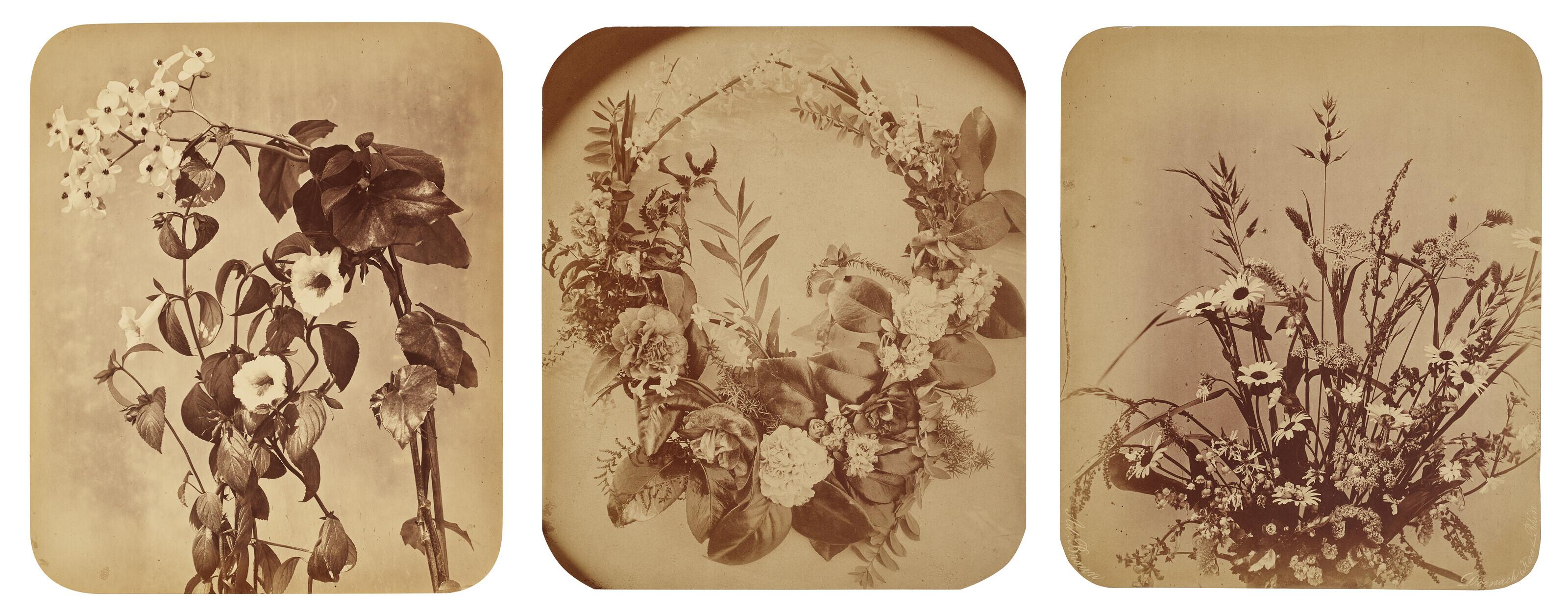 Adolphe Braun - Roses and other flowers, 1865