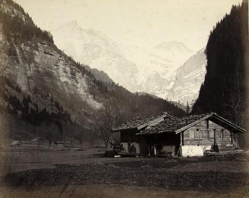 Adolphe Braun - Vue Suisse, 1860s