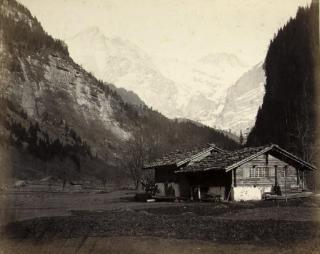 Adolphe Braun - Vue Suisse, 1860s