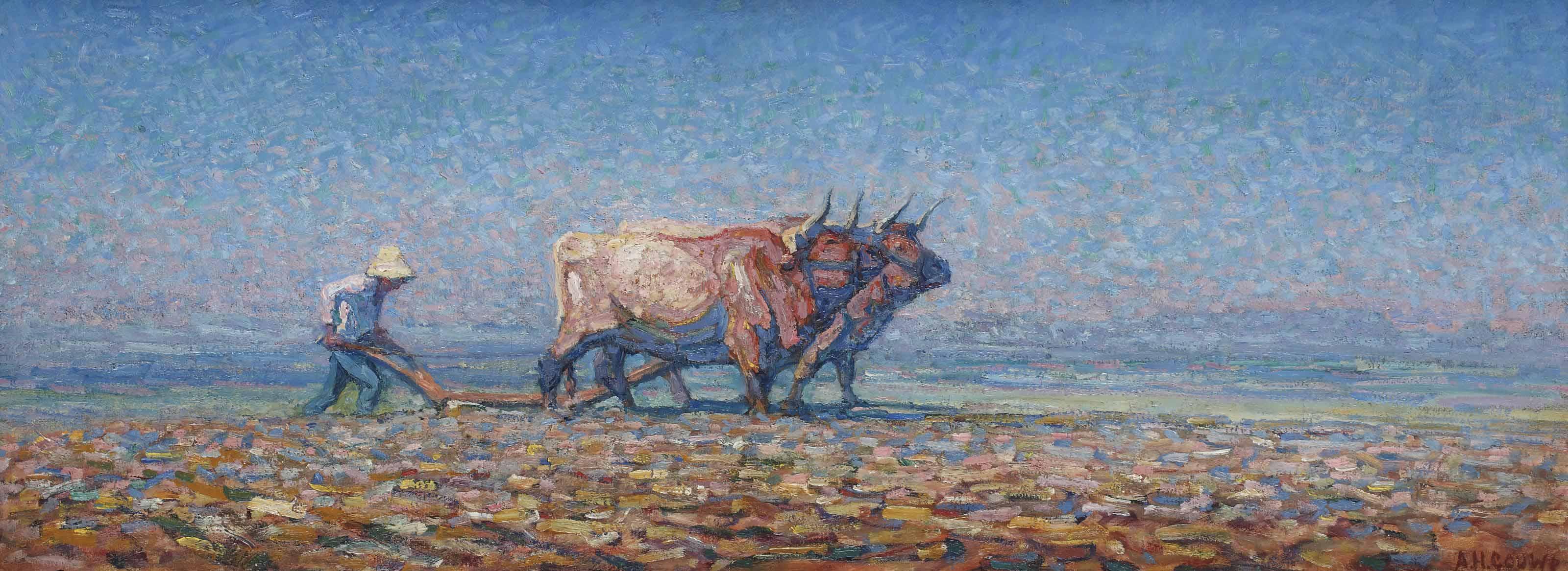 Adriaan Herman Gouwe - Ploughing farmer