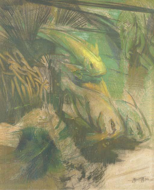 Adriaan J. van \'T Hoff - Fish