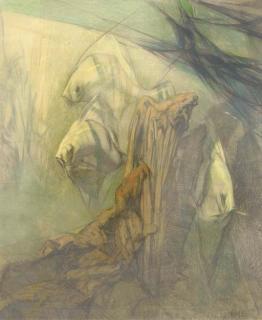 Adriaan J. van \'T Hoff - Tropical fish