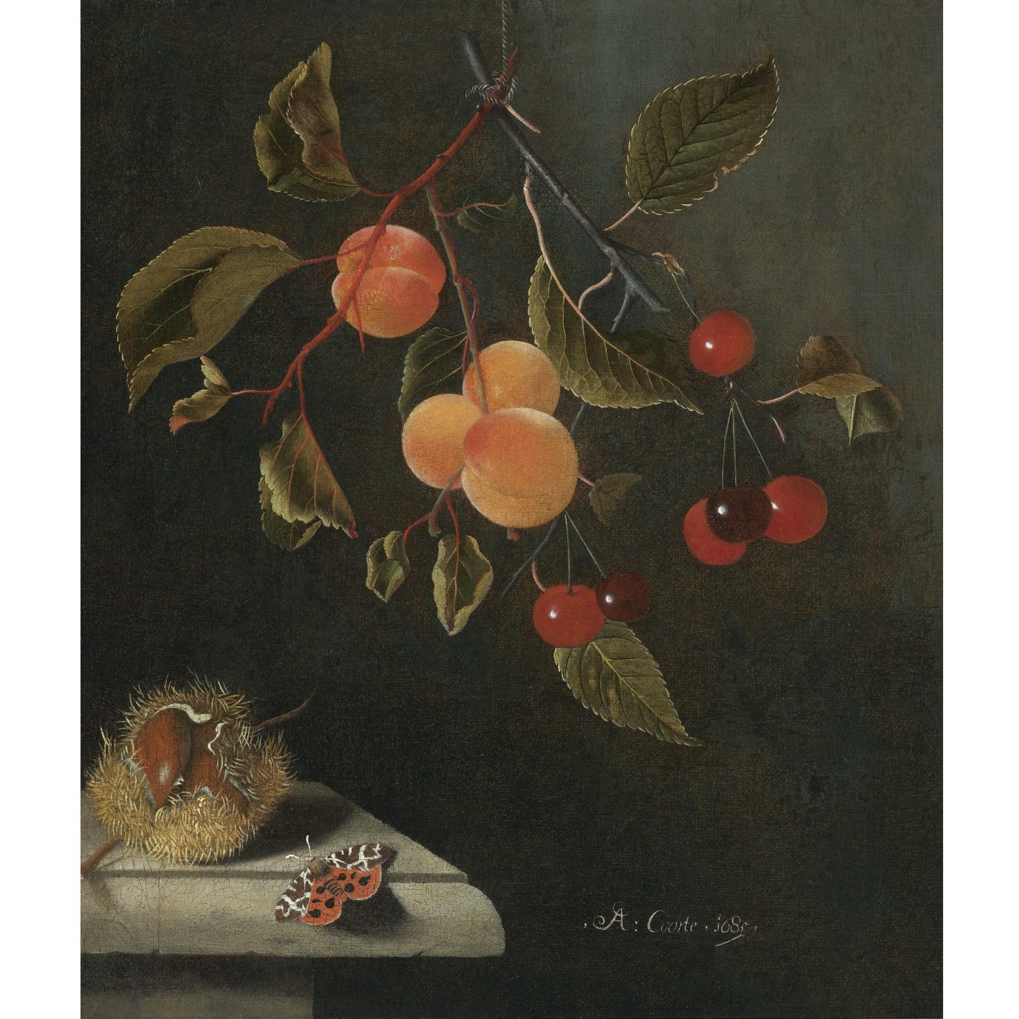 Adriaen Coorte - Still Life With A Butterfly, Apricots, Cherries, And A Chestnut