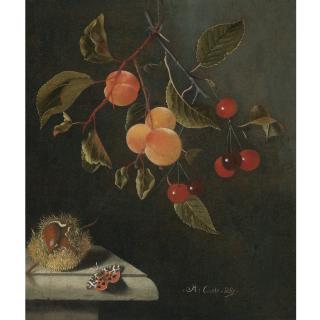 Adriaen Coorte - Still Life With A Butterfly, Apricots, Cherries, And A Chestnut