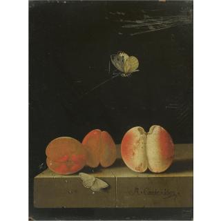 Adriaen Coorte - Still Life With A Peach And Two Apricots On A Stone Ledge, Together With Two Butterflies